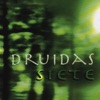 Druidas - Bajo las Estrellas