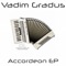 Accordeon - Vadim Gradus lyrics
