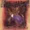 Feeding - Feeding Like Butterflies lyrics