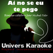 Ai Se Eu Te Pego (Live) [Rendu célèbre par Michel Teló] {Version karaoké}