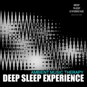 Deep Sleep Experience