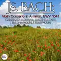 Violin Concerto in A Minor, BWV 1041: II. Andante