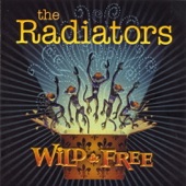 The Radiators - The Girl With the Golden Eyes