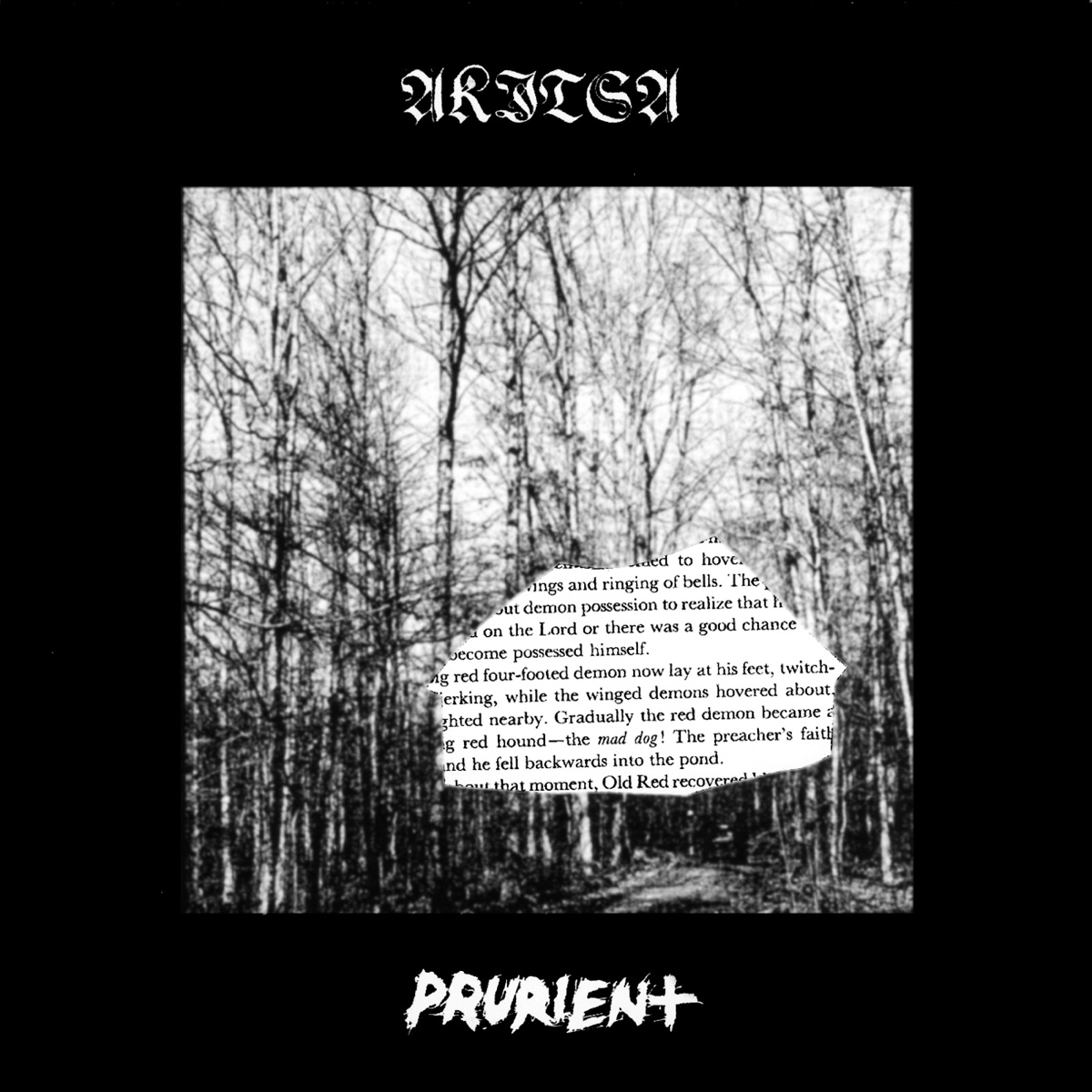 Akitsa / Prurient cover