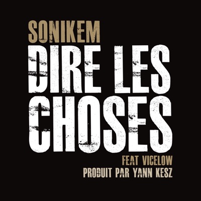 Dire les choses (feat. Vicelow)