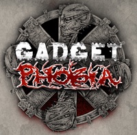 Split with Phobia - Gadget