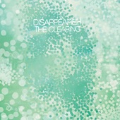 Disappearer - A Skull Full of Bats