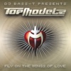 Fly On The Wings Of Love (Redwing Remix) cover art