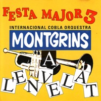 Montgrins - Medely 70-80: Go West / Que Será de Mi Vida / Gonna Get Along With You Now / Blame It On the Boogie / Daddy Cool / I Will Survive / Love Is In the Air / Never Can Say Goodbye / What a Feeling