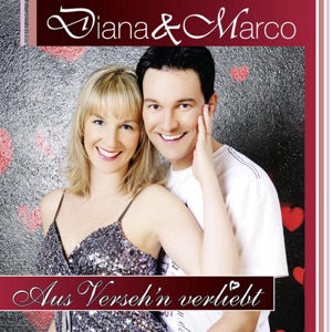 Aus Versehen verliebt (Radio Edit) - Single