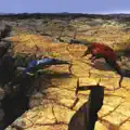 Waiting for the Axe to Fall