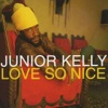 Junior Kelly - Standing Firm