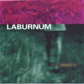 Laburnum - A Way