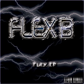 Flex FlexB
