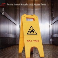Raj Trio - Marcello Allulli, Antonio Jasevoli & Michele Rabbia