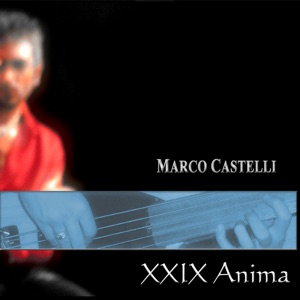 XXIX ANIMA