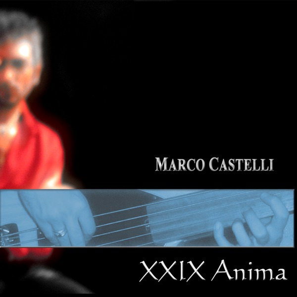 XXIX ANIMA