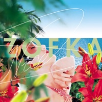 Zofka - L'automobile