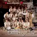 Mährische Bauernpolka :