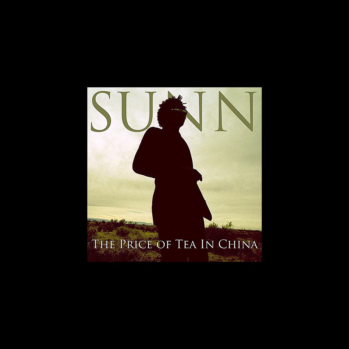 ‎The Price of Tea In China Album by Sunn Apple Music