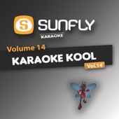 Karaoke Kool, Vol.14