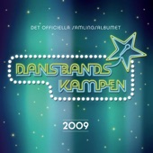 Dansbandskampen 2009 artwork