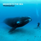 Mission To The Sea - Is a Bel