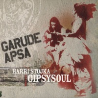 Harri Stojka Gipsysoul - Rupuni (Silver Girl)