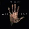 Wilderness (Genius of Time Remix)