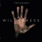 Wilderness (Genius of Time Remix) - Trickski lyrics