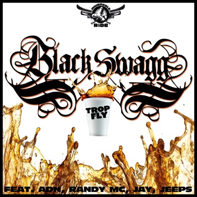 Trop fly (feat. A.D.N, Randy MC, Jay & Jeeps) - Single