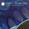 Under The Wonder Sky