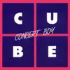 Concert Boy
