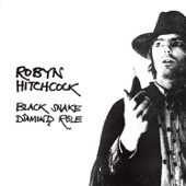 Robyn Hitchcock - I Watch The Cars