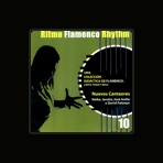 David Palomar