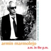 A.M. In the P.M.(feat. Peter Stoltzman, Aaron Allen & Dave Sierra)