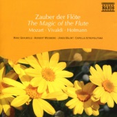 Flute Concerto in D major, Badley D6: I. Tempo giusto artwork