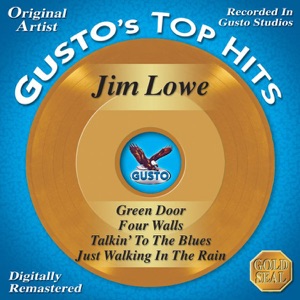 Top Hits - Green Door