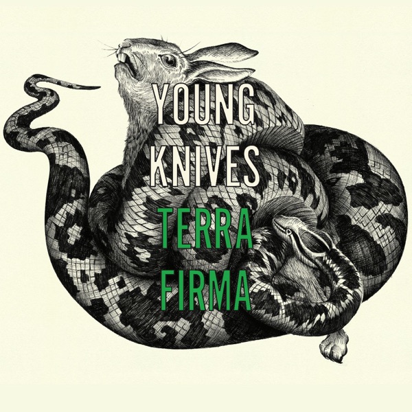 Terra Firma - Single artwork