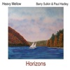 Heavy Mellow - Spinnaker
