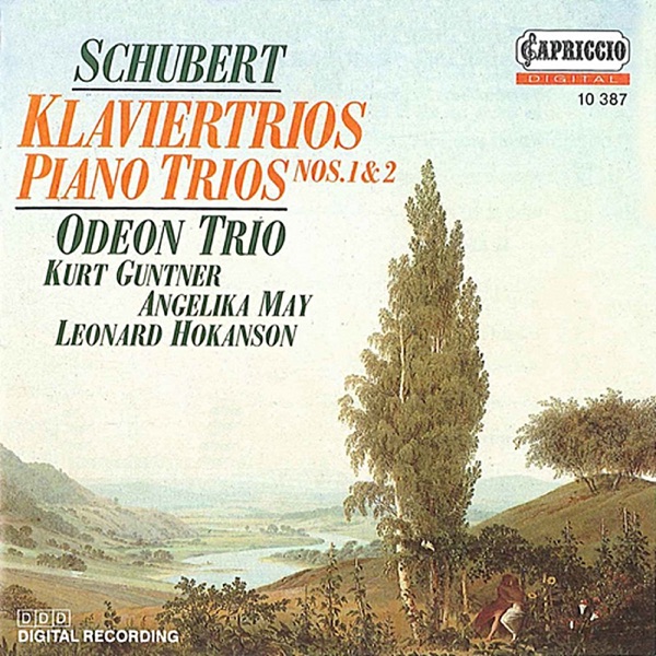 Piano Trio No. 2 in E flat major, Op. 100, D. 929: II. Andante con moto