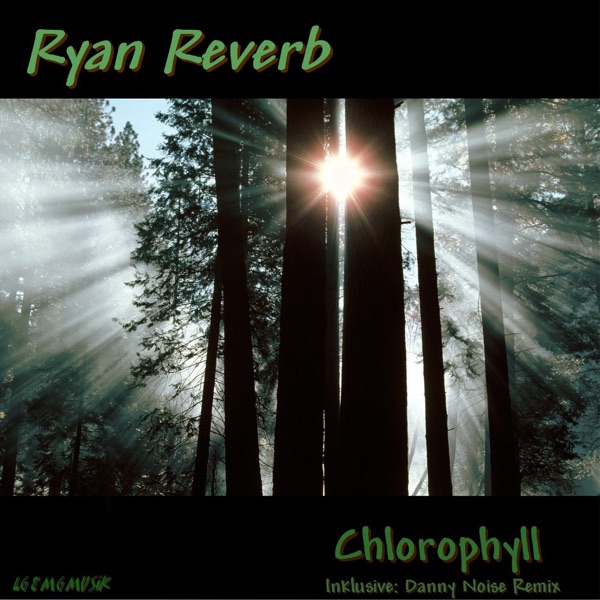 Chlorophyll - Single