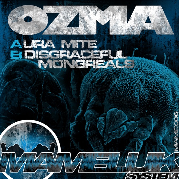 Ura Mite / Disgraceful Mongreals - Single