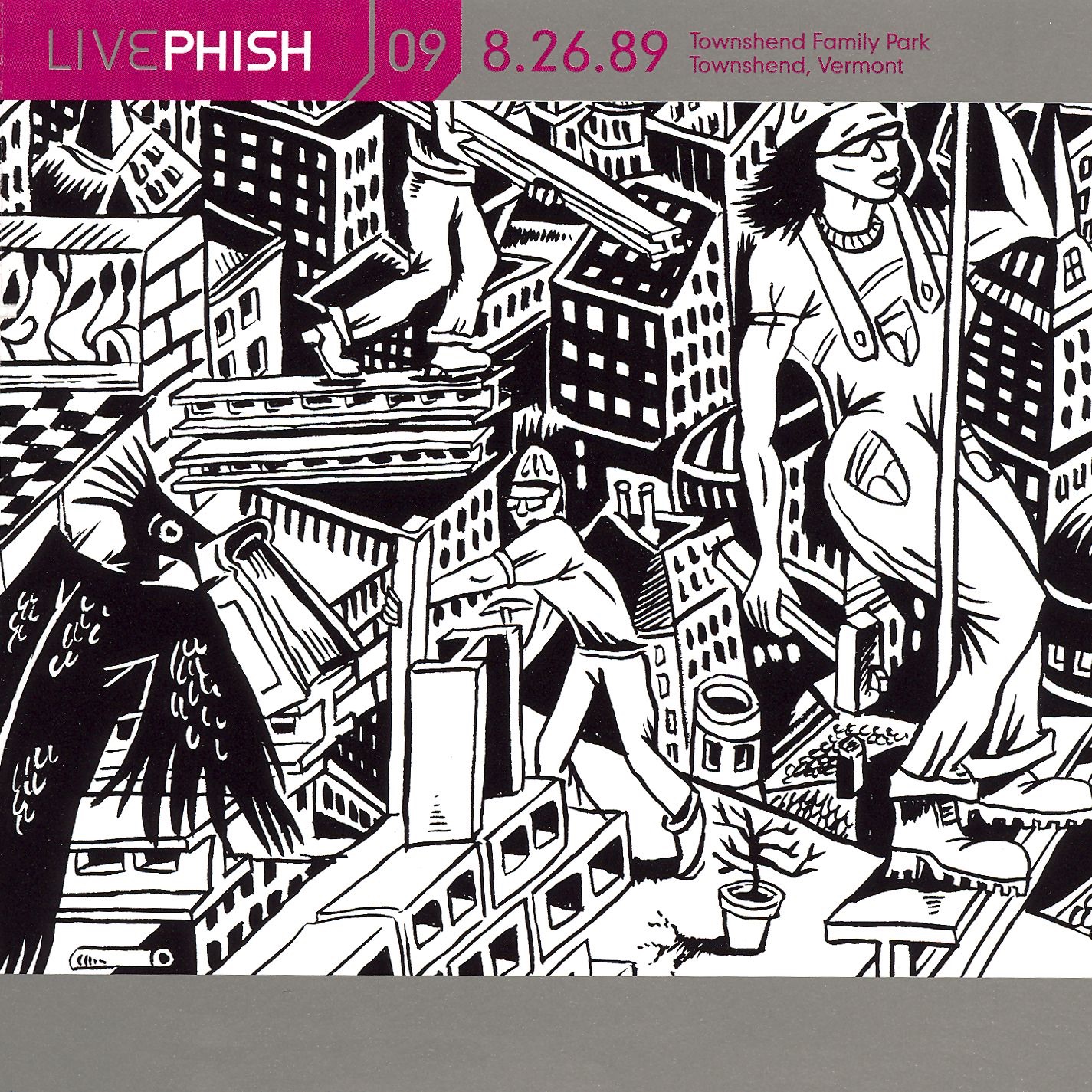 Live Phish, Volume 9: 8/26/89 (Townshend Family Park, Townshend, VT)