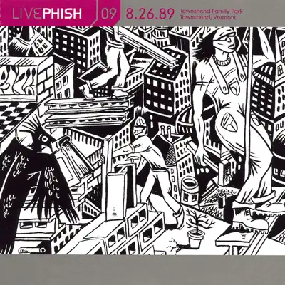 LivePhish, Vol. 9 8/26/89 (Townshend Family Park, Townshend, VT) - Phish