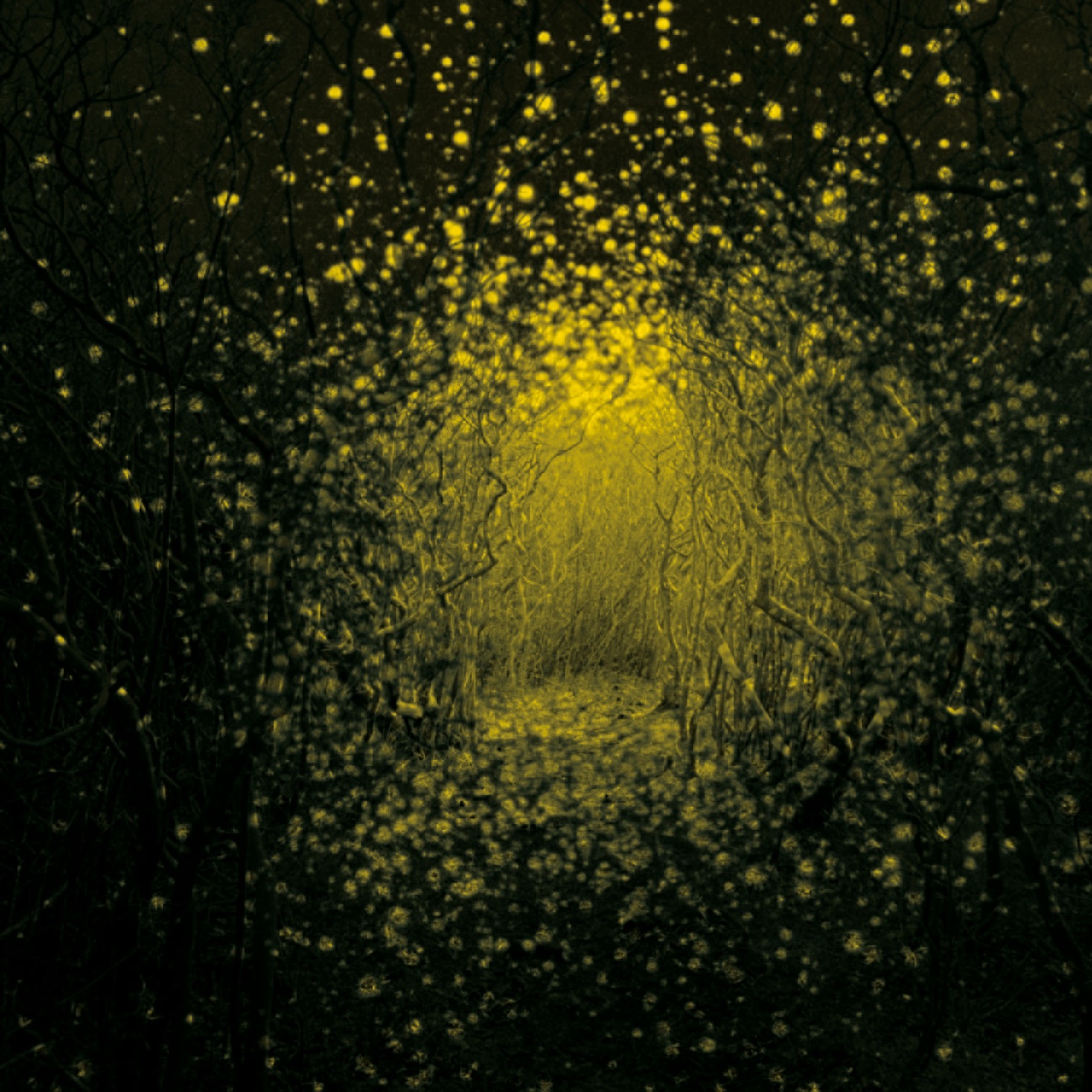The Antlers – Burst Apart (Deluxe Version) Cover