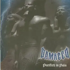 Purified In Pain - Damaged