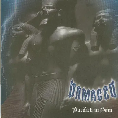 Purified In Pain - Damaged