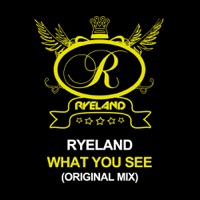 What You See - Single - Ryeland