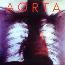 Aorta - Aorta Aorta - Aorta